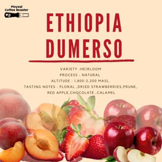 เมล็ดกาแฟ Ethiopia Dumerso Natural