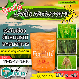 🌾 เฟอร์ติไลฟ์ ปุ๋ยเม็ดละลายช้า (14-13-13) ขนาด 1กิโลกรัม เร่งงาม ยืดยอด แตกแขนง