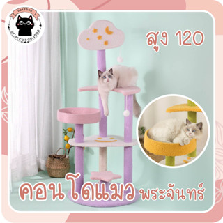 ❤️คอนโดแมว เสาลับเล็บแมว ที่ลับเล็บแมว ของเล่นแมว บ้านแมว สูง135cm❤️