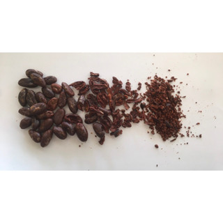โกโก้นิบส์ (Cacao Nibs) - แบบเมล็ดเต็ม100 กรัม ส่งตรงจากสวน รับประกันคั่วสดใหม่ทุกถุง พร้อมรับประทานหรือนำไปแปรรูปต่อได้