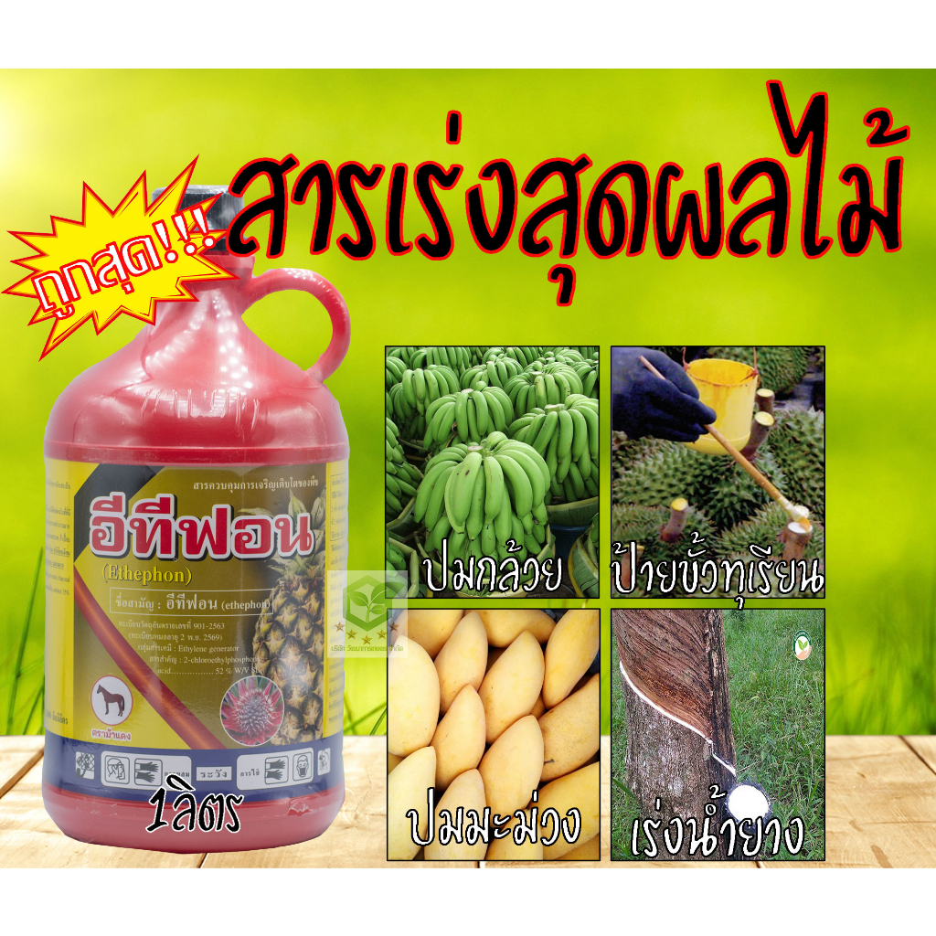 (ใหม่) 1ลิตร อีทีฟอน 52 อีทีฟอน (ethephon) 52% W/V SL แอ็กทีฟอน เร่งการสุก ป้ายขั้ว ทุเรียน ได้ ยาปมกล้วย