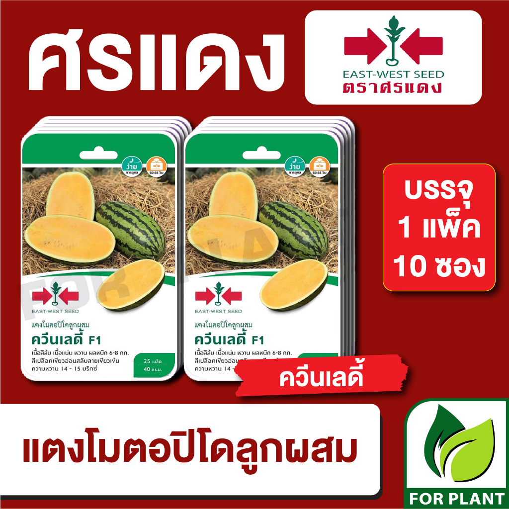 เมล็ดพันธุ์ผัก ผักซอง แตงโมเหลือง ควีนเลดี้ F1 ตราศรแดง บรรจุแพ็คล่ะ 10 ซอง ราคา 300 บาท