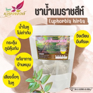🔥"ชาน้ำนมราชสีห์ใหญ่"/ผักโขมแดง🦁🦁(Euphorbia hirta) เวียนหัวบ้านหมุนน้ำในหูไม่เท่ากันยาบำรุงกำลังช่วยดับร้อนแก้พิษแก้ชื้น