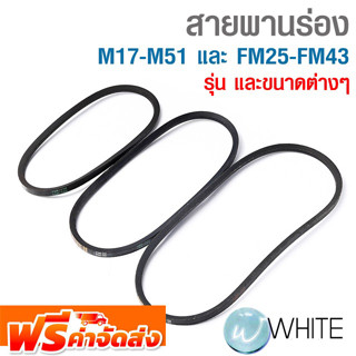 สายพานร่อง M17-M51 ขนาด 17-51 นิ้ว และ FM25-FM43 ขนาด 25-43 นิ้ว ยี่ห้อ DOG จัดส่งฟรี!!!