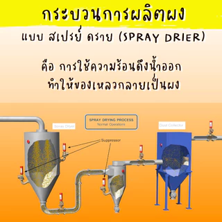 ผงใบเตย ไม่มีน้ำตาลผสม และ สารกันเสีย