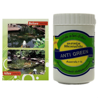 (จัดส่งเร็ว) ANTI GREEN กำจัดตะไคร่-น้ำเขียว และสาหร่าย ในบ่อปลา ตู้ปลา น้ำใส ปลอดภัย (ฟรีช้อนตัก)