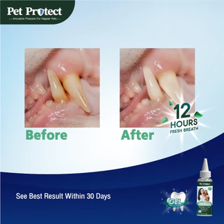 Pet Protect Dental Gel เจลป้ายฟัน สูตร Original ช่วยลดคราบหินปูน กำจัดกลิ่นปาก สำหรับสุนัขและแมว 4 Oz. (118 มล./ขวด)