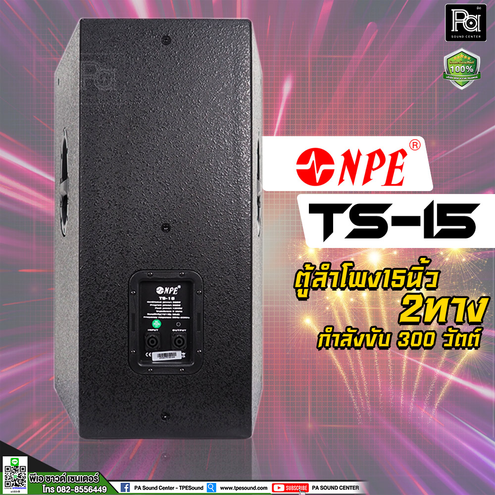 NPE TS-15 ตู้ลำโพง 15 นิ้ว 2 ทาง 300 วัตต์ ตู้ลำโพง15 ตู้ลำโพงไม้แท้ TS 15 ตู้ลำโพง Passive TS15