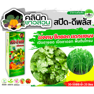 🥬 สปีด-ดีพลัส (ธาตุอาหารรอง) บรรจุ 1ลิตร เร่งงาม ยืดยอด แตกแขนง