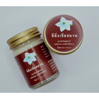ขี้ผึ้งเชื้อชนวน หิรัญญิการ์