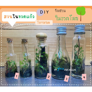 terrarium  สวนในขวด จัดสวน อุปกรณ์จัดสวน ขวดจัดสวน ขวดจิ๋วจัดสวน ขวดโหล ของขวัญ terrarium ตกแต่งบ้าน  ขวดใส่ต้นไม้