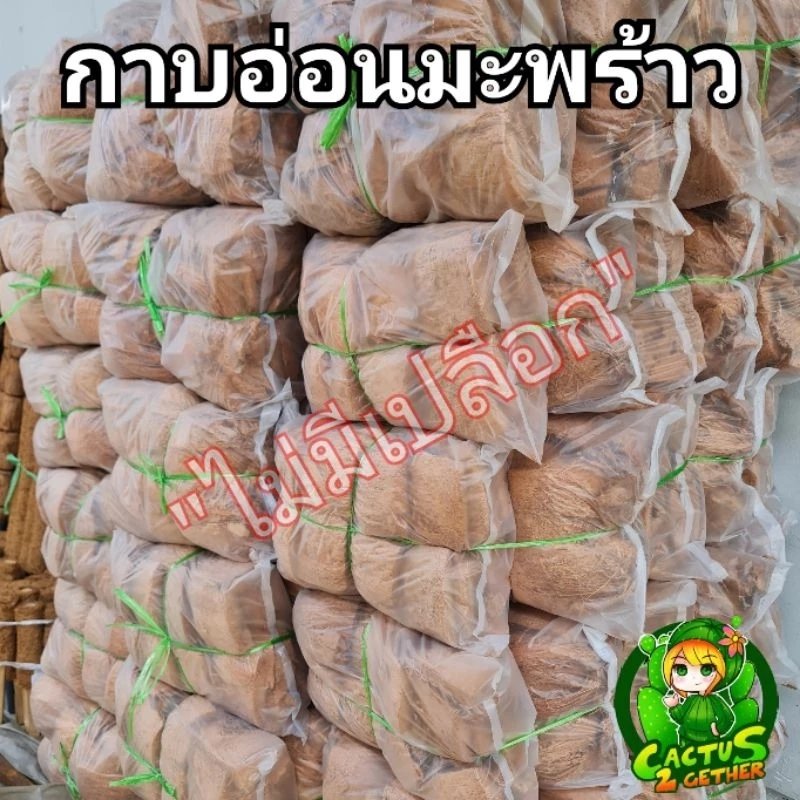 กาบอ่อน / กาบแข็ง กาบมะพร้าว ไม่มีเปลือก ชิ้นใหญ่ หนา ฟู ใช้งานง่าย