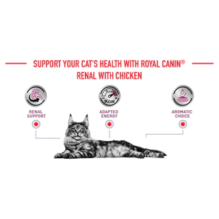 Royal Canin renal feline Chronic kidney disease 4 kg อาหารแมว โรคไต แมว แบบเม็ด ขนาด 4 kg