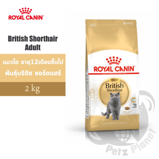 Royal Canin British Shorthair Adult อาหารแมวรอยัล คานิน สูตรแมวโตสายพันธุ์บริติชช็อทแฮร์ อายุ1ปีขึ้นไป ขนาด2กก.