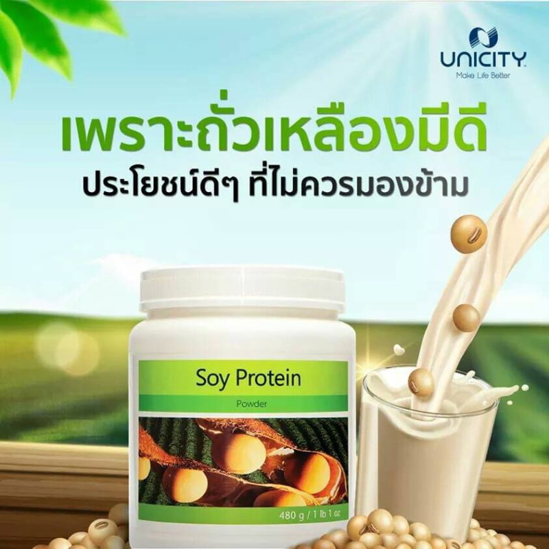 ซอยโปรตีน (Soy protein)