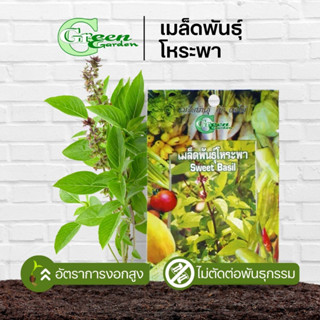 เมล็ดพันธุ์โหระพา (Sweet Basil) Green Garden