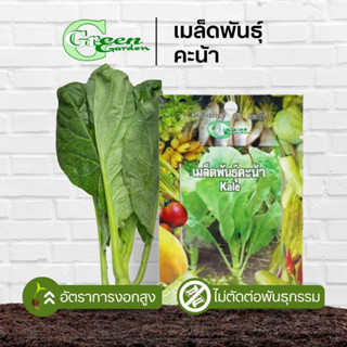 เมล็ดพันธุ์ผักคะน้า (Kale) Green Garden