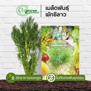 เมล็ดพันธุ์ผักชีลาว (Dill) Green Garden