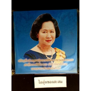 แผงเหรียญพระพี่นาง (เจ้าฟ้ากัลยาณิวัฒนา) พิธีพระราชทานเพลิงพระศพ (M21)