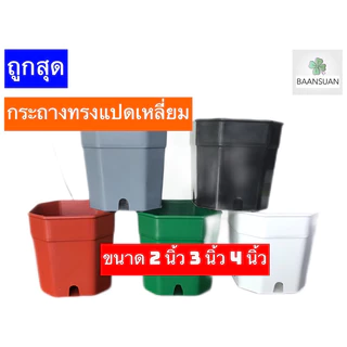กระถางแปดเหลี่ยม กระถางต้นไม้ กระถางพลาสติกมีให้เลือก 5 สี ขนาด 2/ 3/ 4 นิ้ว (แพ็ค 50 ใบ) ราคาต่อ 1 แพ็ค