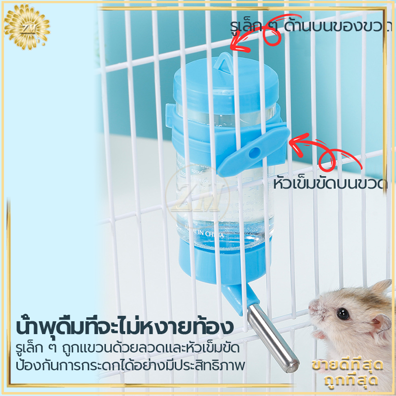 รูปภาพ 7