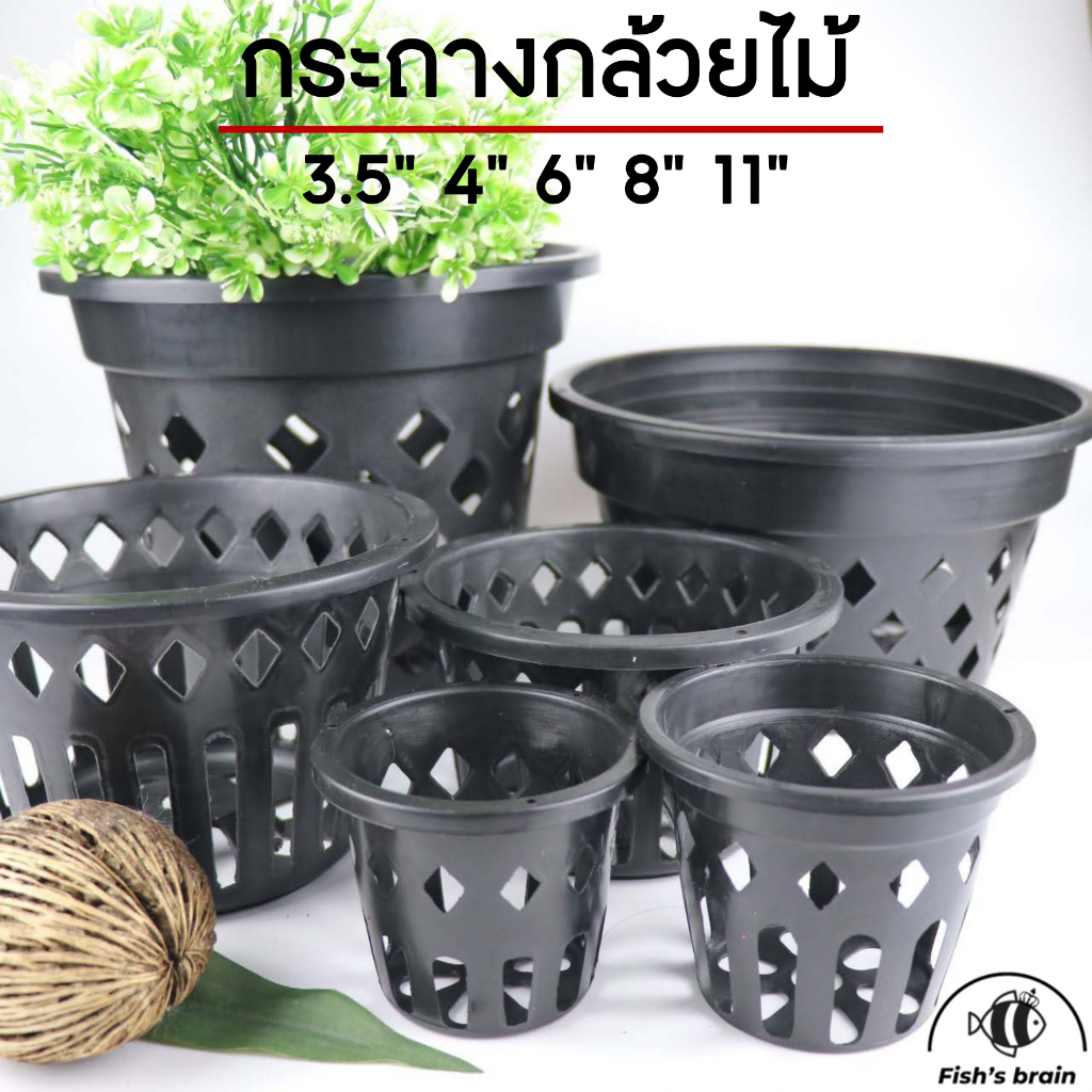 กระถางกล้วยไม้ กระถางต้นไม้ กระถางพลาสติก 3.5″ 4″ 6″ 8″ 11″ ราคาถูกที่สุด