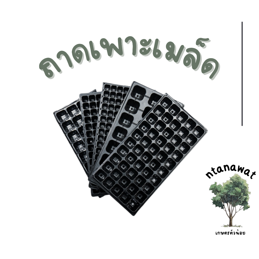 (หนา 0.8 มม.) ถาดเพาะกล้า เพาะเมล็ด ความหนา 0.8 mm ถาดเพาะไฮโดร มีหลายขนาด 50, 72, 105, 200หลุม