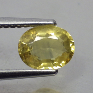 พลอย แซฟไฟร์ บุษราคัม ธรรมชาติ แท้ ( Natural Yellow Sapphire ) 1.26 กะรัต