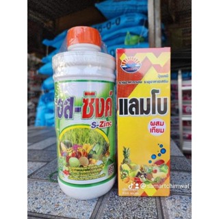 เอสซิงค์+แลมโบ พืชช่วงติดดอก
