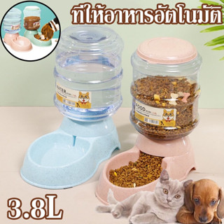 เครื่องจ่ายน้ําอัตโนมัติ กันลื่น ขนาดใหญ่ 3.8 ลิตร ถอดออกได้ สําหรับสัตว์เลี้ยง สุนัข