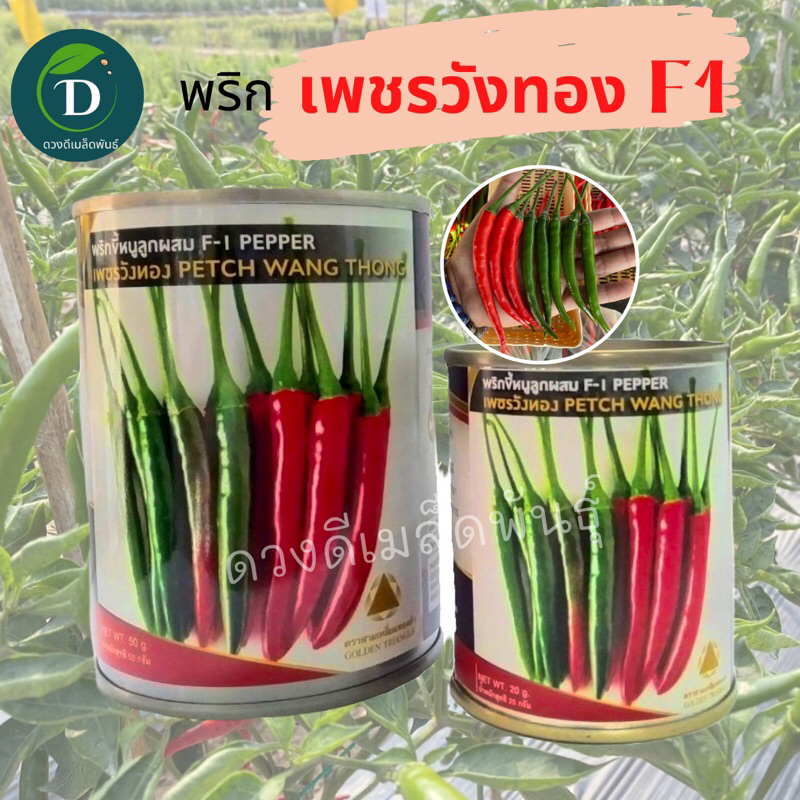 พริกเพชรวังทอง 20กรัม และ 50กรัม ล็อตใหม่ล่าสุด‼️ ผลดก เม็ดใหญ่ ทนทานโรค