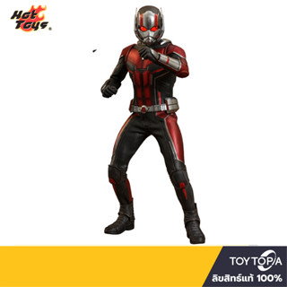 พร้อมส่ง+โค้ดส่วนลด Ant Man: Ant Man and The Wasp 1/6 Scale MMS497 by Hot Toys (ลิขสิทธิ์แท้)