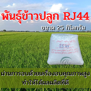 ข้าวปลูก RJ44 พันธุ์ข้าวปลูก RJ44 ชนะเลิศประกวดข้าวพันธุ์ใหม่เพื่อการพาณิชย์ พันธุ์นี้ได้ผลผลิตสูงมาก ขนาด 25 กิโลกรัม