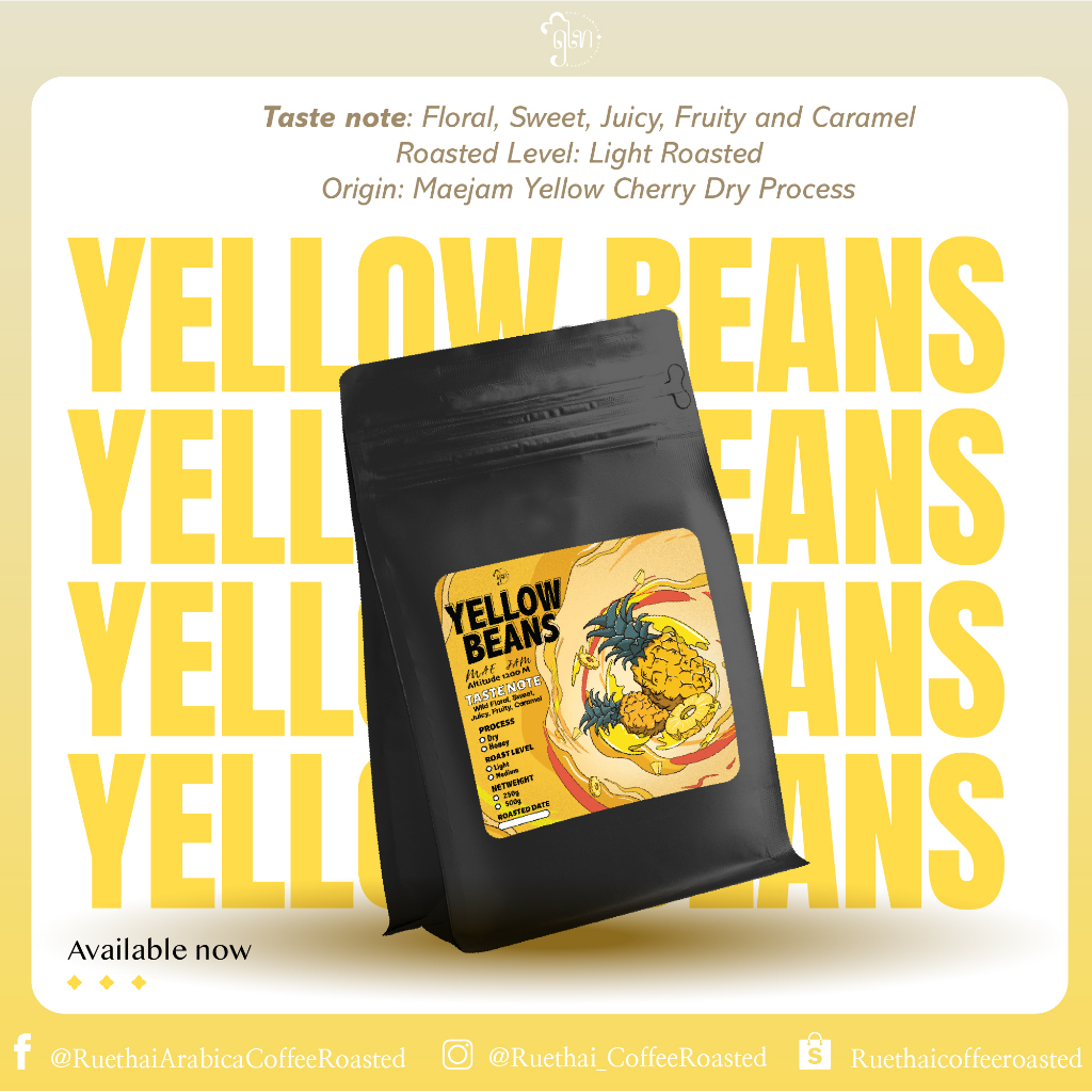 ฤไท เมล็ดกาแฟคั่ว Maejam Dry Process Yellow Bean สำหรับคอกาแฟดริปที่ชื่นชอบความเป็นผลไม้โทนร้อน