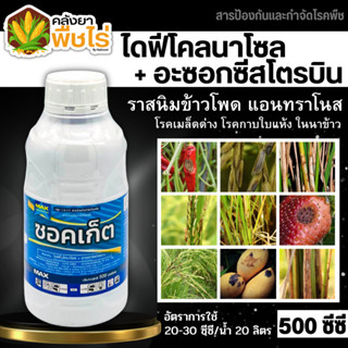 🌽 ซอคเก็ต (ไดฟีโนโคนาโซล+อะซอกซีสโตรบิน) 500ซีซี ป้องกันเชื้อรา โรคเมล็ดด่างในนาข้าว