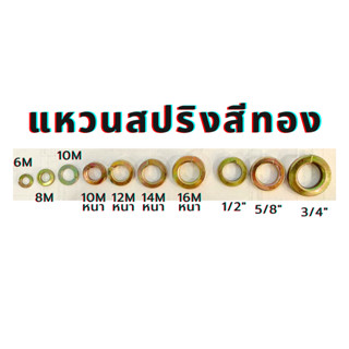 แหวนสปริงสีทอง แหวนสปริงทอง แหวนกันคลายทอง ขนาด6M/8M/10M/12M/14M/16M/1/2"/5/8"/3/4"