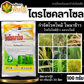 🌽 ไตรไซคลาโซล (ไตรไซคลาโซล) 100กรัม ป้องกันโรคไหม้ในนาข้าว