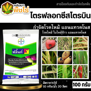 🌽 ฟลิ้นท์ (ไตรฟลอกซีสโตรบิน) 100กรัม ป้องกันเชื้อราเมล็ดด่าง แอนแทรคโนส