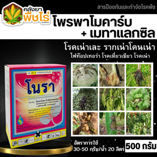 🌽 โนรา (โพรพาโมคาร์บไฮโดรคลอไรด์+เมทาแลกซิล) 500กรัม กำจัดไฟท๊อปเทอร่า โรคเน่าเละในหอม โรคเหี่ยว