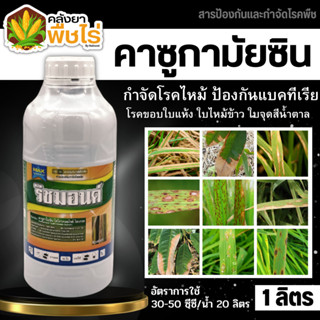 🌽 ริชมอนด์ (คาซูกาไมซิน) 1ลิตร ใช้ป้องกันกำจัดโรคกาบใบแห้งในข้าว ที่มีสาเหตุจากเชื้อรา