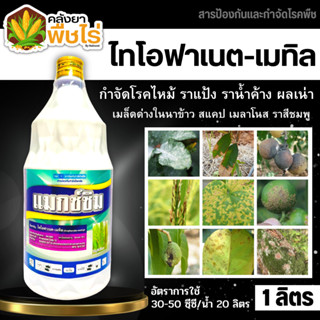 🌽 แมกซ์ซิม (ไทโอฟาเนต-เมทิล50%SC) 1ลิตร ป้องกันโรคไหม้ข้าว และเชื้อราได้หลากหลาย