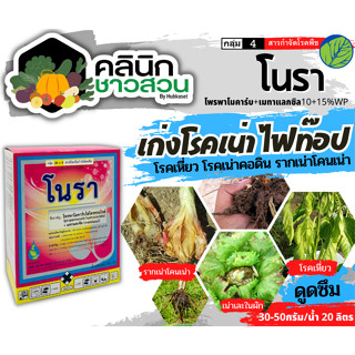 🥬 โนรา (โพรพาโมคาร์บไฮโดรคลอไรด์+เมทาแลกซิล) บรรจุ 500กรัม กำจัดไฟท๊อปเทอร่า โรคเน่าเละในหอม โรคเหี่ยว