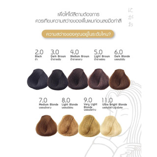 นิกาโอะ ครีมเปลี่ยนสีผม / Nigao Hair Color Guide แจ้งไฮโดรเจนในหมายเหตุได้เลยนะคะ