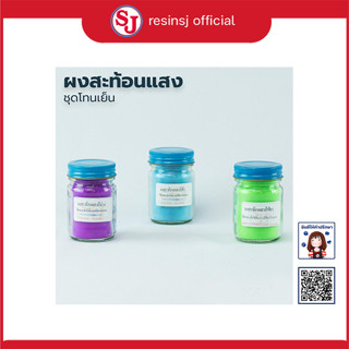 ชุด ผงสี สะท้อนแสง ผสม เรซิ่น ม่วง ฟ้า เขียว ขนาด 30 กรัม 3 ขวด