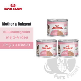 Royal Canin Mother&amp;BabyCat Mousse อาหารชนิดเปียก แบบกระป๋อง สำหรับแม่แมวและลูกแมวอายุ1-4เดือน 195g x 3กระป๋อง