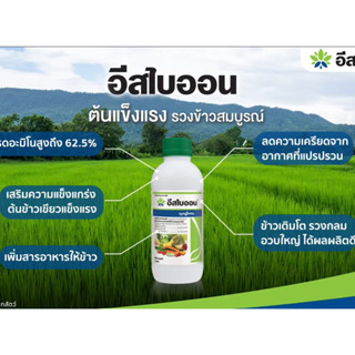 อีสไบออน 1 ลิตร ข้าวเขียวแตกกอพืชโตเร็ว ใช้ได้กลับพืชทุกชนิด