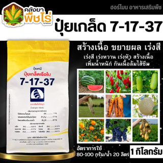 🌽 7-17-37 (ปุ๋ยเกล็ดเรือใบ) 1กิโลกรัม เร่งหวาน เร่งสี เร่งหัว เพิ่มน้ำหนัก ป้องกันผลล้ม