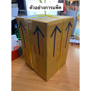 ชายชล บอนสี รัตนสิน เชื้อต้นแม่สวย ป้ายจัด สีสด สวย กระถาง 4 นิ้ว