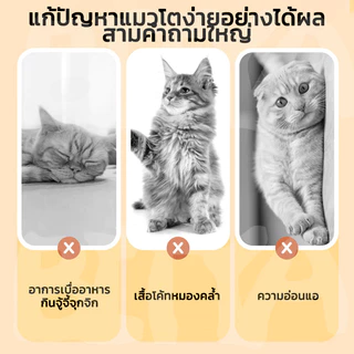 COD ขนมแมว อกไก่ฟรีซดราย 100% เกรดอาหารคน ดีต่อสุขภาพ ขนมฟรีซดราย ไก่,ตับ,ไข่ Freeze Dried แมว บำรุงขน