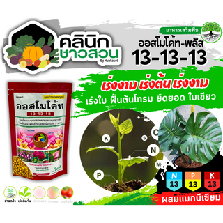 🥬 ออสโมโค้ท (13-13-13) บรรจุ 100กรัม ใส่เพียงครั้งเดียว พืชได้รับปุ๋ยต่อเนื่องนาน 3เดือน